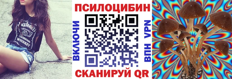 Купить  Тихвин  Псилоцибиновые грибы мицелий 